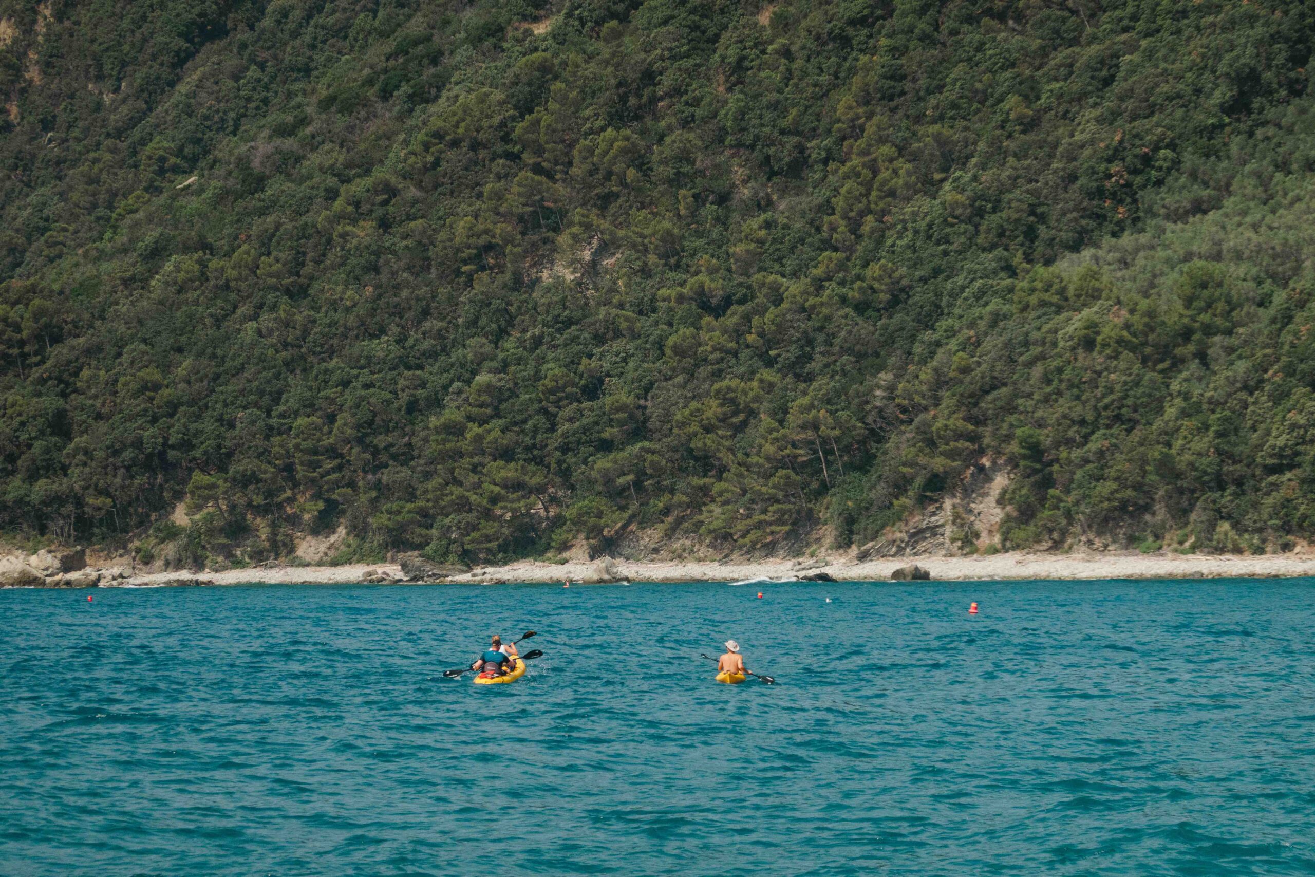 Kayak Tour